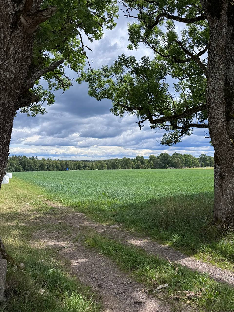 Jakt i Sverige