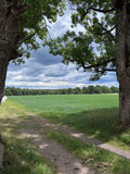 Jakt i Sverige