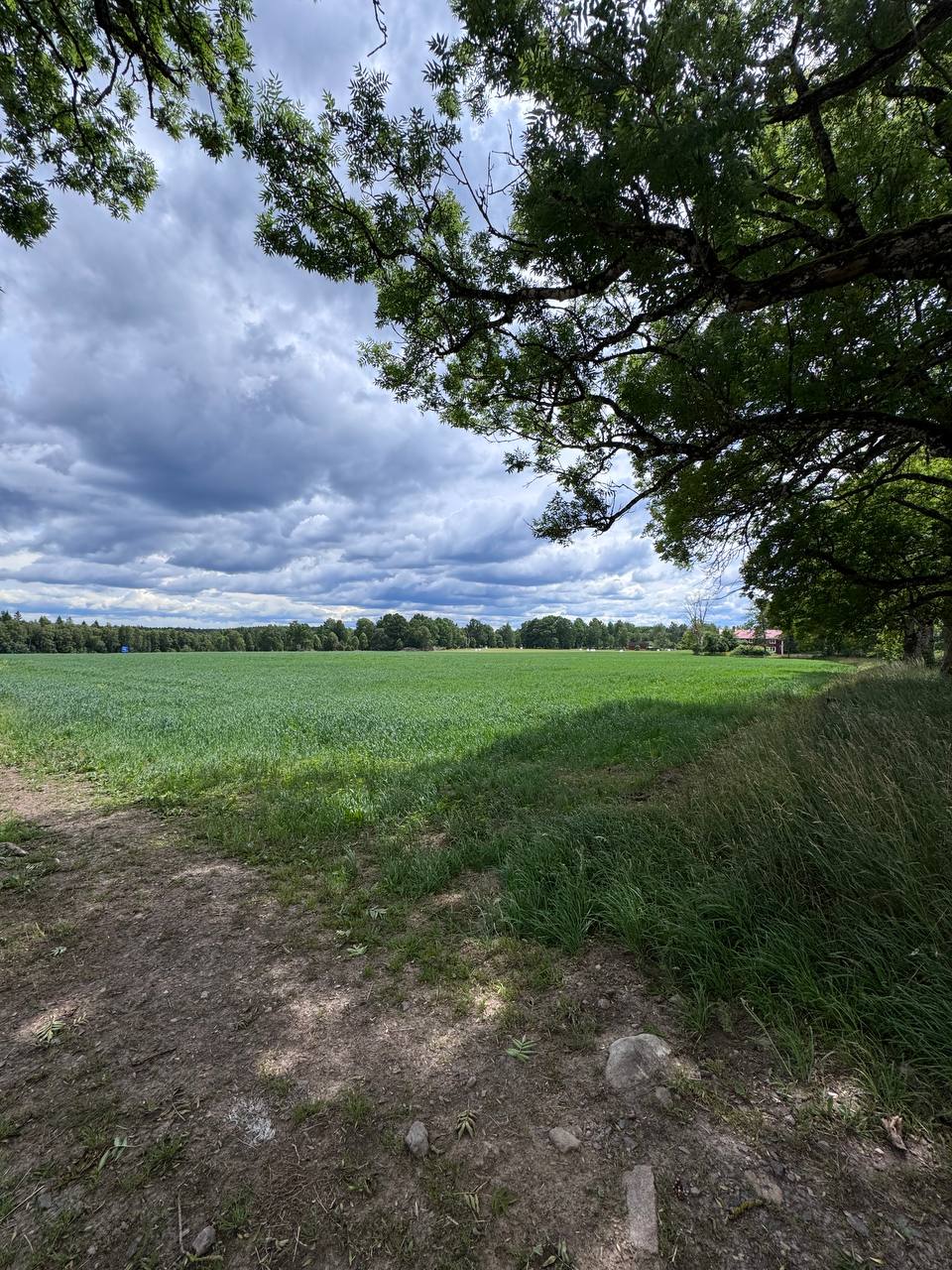 Jakt i Sverige