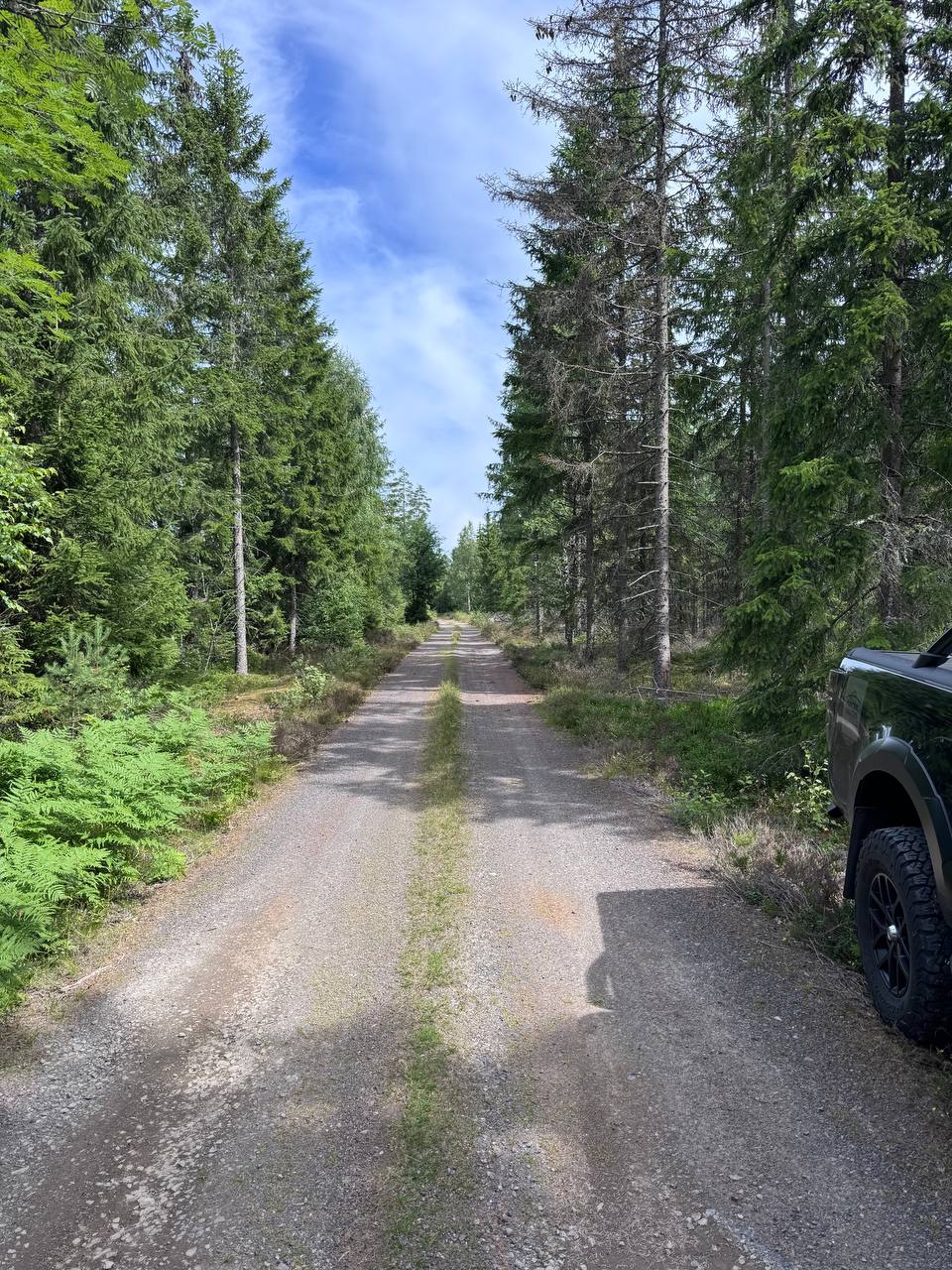 Jakt i Sverige