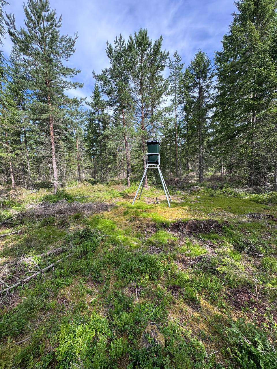 Jakt i Sverige